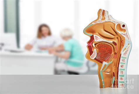 For those who know, how much is a consultation with an ENT.
